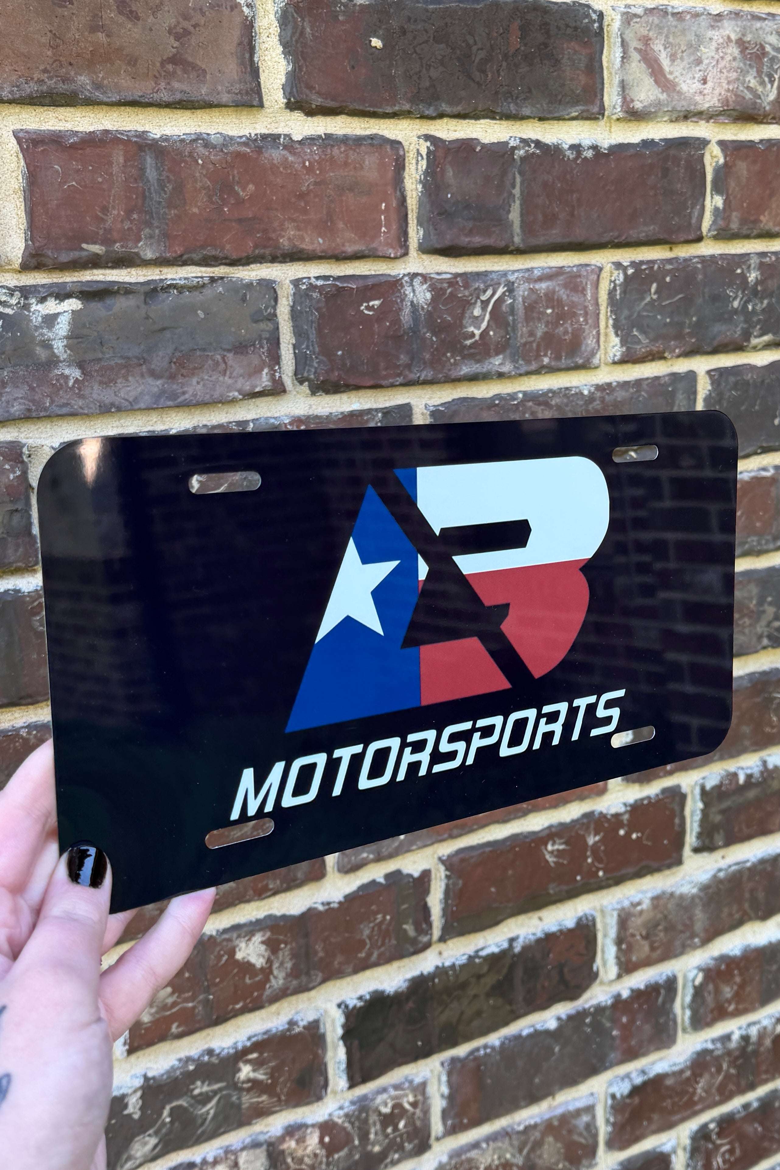 Lone Star State Novelty License Plate